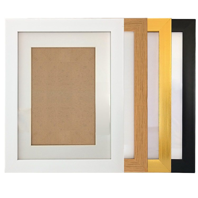 Morden Picture Framesn Plexiglass Facing Canvas