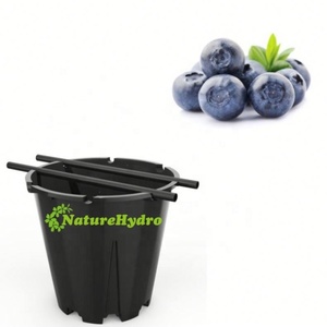 <span class=keywords><strong>Pot</strong></span> de culture en <span class=keywords><strong>plastique</strong></span> pour myrtilles 25L 30L 35L – Durable et léger pour une plantation facile - Product Image 4