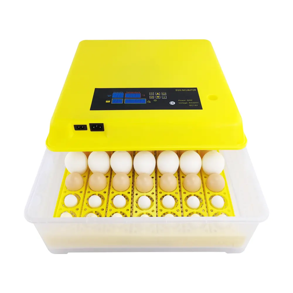 Incubateur numérique pour œufs de poulet, couveuse entièrement automatique à Double couche, thermostat numérique, meilleur prix, approuvé Ce, 56 unités