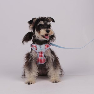 Large Breed Dog Cow Hide Full Grain Leather Pet Dog <strong>Harness</strong> Real Leather <strong>Cat</strong> Hunting Labrador Dog Long Leash Pet Long Leash - Product Image 1