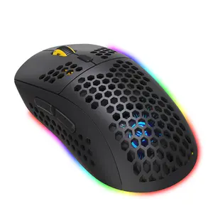 OEM Dropshopping New Selling RGB Lighting Honeycomb Shell Optical USB 2.4G Wireless Gaming Mouse