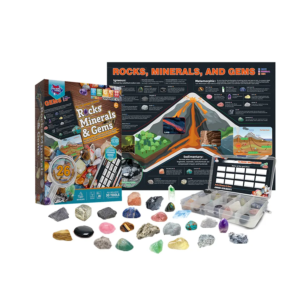 26 Stuks Stengel Speelgoed Stenen En Rotsen En Mineralen Collectie Spellen Educatief Kind Leren Wetenschap Kit Voor 8-14 Jaar Oud Kind