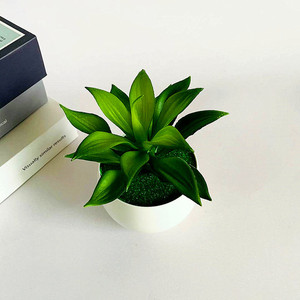 Planta Suculenta Artificial en Maceta, Vegetación Artificial de PVC Suave, Bonsái de Loto de Piedra, Decoración Interior y Exterior, 80g, Hecho en China - Product Image 4