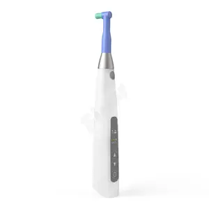 치아 청소 및 미백 조정 가능한 속도 무선 치과 전기 연마 모터