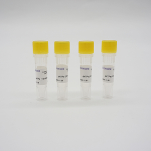 Mezcla de <span class=keywords><strong>DNTP</strong></span> altamente purificada de grado de Biología Molecular Foregene 100 mm cada una - Product Image 2