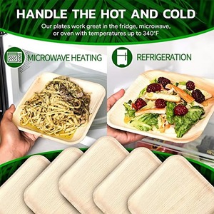 Platos de Hoja de Palma Natural de Proveedor Indio, Resistentes y Compostables para Restaurantes, Hoteles y Servicios de Alimentos, Disponibles para la Venta - Product Image 3