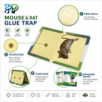 Piège à colle pliable pour souris et rats, forte adhérence, non toxique, pour le contrôle des rongeurs en intérieur - Offre Spéciale