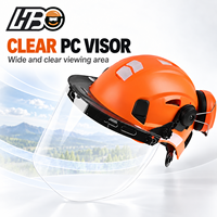 Casque de sécurité pour tronçonneuse forestière HBC avec écran facial en maille métallique, casque de protection pour arboriculteur, abattage d'arbres, coupe de bois