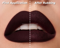 Nouveau Rouge à Lèvres Scintillant Haute Pigmentation Lèvres Lisses Maquillage Végétalien Tube Dégradé Noir Personnalisé Effet Métallique Brillant Velours