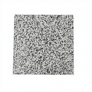 UNION - Losa de Granito G603 Natural Pulido de Primera Calidad, Corte a Medida, Ecológica, Ligera y Duradera para Cocina y Comedor - Product Image 1