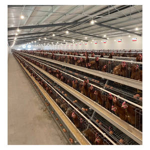 قفص الدجاج بأربعة طبقات من النوع سهل التركيب بشبكة سلكية بسيطة ، قفص الدجاج لمزرعة الدواجن - Product Image 2