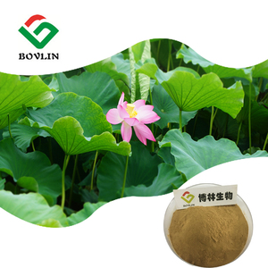 High Quality <strong>Lotus</strong> Leaf <strong>Extract</strong> Powder 5% Nuciferine Powder - Product Image 1