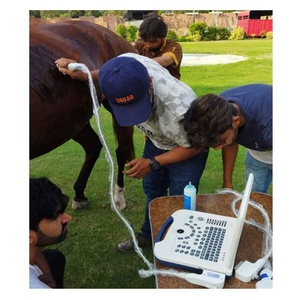 Dawei xách tay siêu âm thú y Máy Dog bụng máy siêu âm - Product Image 2