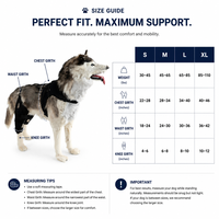 Harnais de soutien arrière pour chien PETSGUARD, pour mobilité canine senior, articulations de la hanche, récupération post-chirurgie LCA, en maille respirante