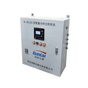 Analizador de Oxígeno en Gas Runlai High BG100, Sistema de Análisis de O2, Detector de Oxígeno Personalizable - Product Image 1