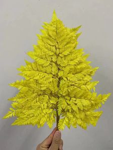 <span class=keywords><strong>Felce</strong></span> in pelle conservata con fiori secchi più venduti per la decorazione domestica - Product Image 4