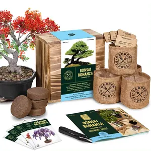 Idée de cadeau de Noël insolite Kit complet de démarrage d'arbre de bonsaï de <span class=keywords><strong>jardinage</strong></span> d'intérieur pour femmes Design artificiel Décoration Plantation - Product Image 1