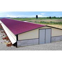 Estructura de acero, casa de pollo, casa de engorde, cobertizo de granja, edificio de aves de corral, edificios de almacén prefabricados