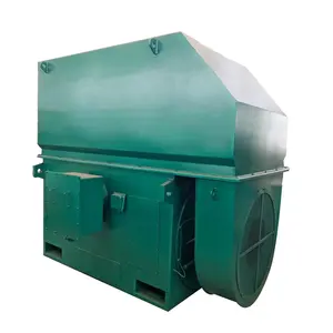 185kW-900kW Asynchronous 3 Phase Electric High Voltage AC Motor For Cement Plant