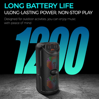SING-E ZQS-3217 Enceinte Stéréo Portable Professionnelle RGB avec Microphone pour Fêtes, KTV, DJ, Karaoké