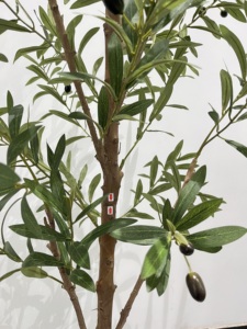 Grand <span class=keywords><strong>olivier</strong></span> artificiel artificiel en plastique pour l'extérieur, arbre <span class=keywords><strong>Olivier</strong></span> Artificiel, grand faux <span class=keywords><strong>olivier</strong></span> - Product Image 5