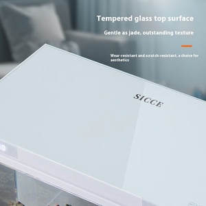 Petit réservoir d'<span class=keywords><strong>aquarium</strong></span> de bureau ultra-blanc Réservoir à poissons en verre écologique avec poisson rouge pour bureau ou salon 220V - Product Image 4