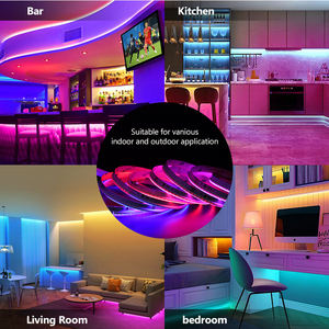 Tira de Luces LED COB RGBIC IP20 con Control Remoto, 630 Chips/m, DC24V, Certificación CE y RoHS para Uso en Exteriores - Product Image 4