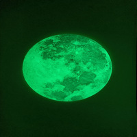 Autocollant 3D Lune Planète Luminescent dans le Noir 8mm d'épaisseur Surface Lunaire Bleu Vert Feuille Photoluminescente Auto-adhésive de Sécurité Nocturne