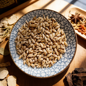 <span class=keywords><strong>Orge</strong></span> maltée torréfiée à basse température, ingrédient premium pour ragoûts et boissons - Product Image 5