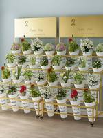 Support de Présentation pour Fleurs Fraîches de Fleuriste, Style Chinois, à Trois/Quatre Niveaux, pour Intérieur/Extérieur, en Plastique