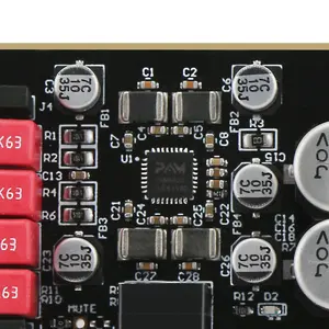 In Stock PAM8620 Power Amplifier Module 15Wx2 Dual-Channel Stereo Class D Digital Power Amplifier Board MCU Type