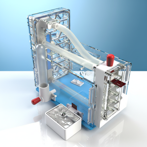 Kangdarpet Casa per Animali in Acrilico, Castello 3D Trasparente, Nido per Educazione Scientifica, Adatto per Insetti e Formiche - Product Image 6