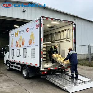 Camión Refrigerado para Transporte de Aves de Corral con Capacidad para 20000 Unidades, Camión para Transporte de Pollitos con Sistema de Ventilación - Product Image 6