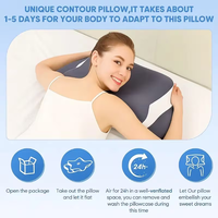 Oreiller en mousse à mémoire de forme en forme de papillon, soutien cervical zéro pression, noyau d'oreiller personnalisable