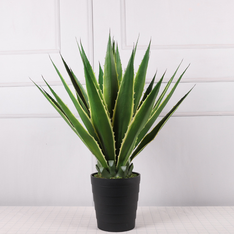 0,82m 25 feuilles d'agave jaune