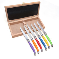Ensemble de couteaux à steak en acier inoxydable avec manche en plastique de couleur arc-en-ciel, 6 pièces, écologiques, lavables au lave-vaisselle, style Laguiole, couverts de table