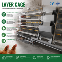 Nouvelle cage à batterie en acier galvanisé pour élevage de poules pondeuses, système de gestion automatique, 3 à 8 niveaux, capacité de 96 à 160 poulets