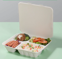 G9 15% de réduction – Contenant alimentaire jetable biodégradable en amidon de maïs, boîte à lunch, vaisselle, ensemble de dîner, emballage en pulpe de bagasse