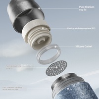 Thermos en titane pur à isolation sous vide avec infuseur à thé, double paroi, portable, pour infusion de thé blanc vieilli, tasse à eau pour la santé