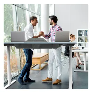 ZGO高級オフィス家具デュアルモーター人間工学に基づいた電気高さ調節可能なテーブルシットスタンドスタンディングデスクフレーム