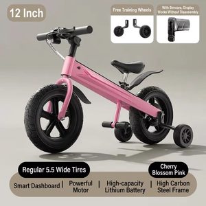 Vélo d'équilibre pour enfants homologué CE, 800W, 36V, roue avant de 12 pouces, cadre en acier carbone, selle en cuir, pour enfants de 8 ans (Len 93) - Product Image 3
