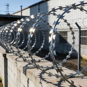 Alambre de púas galvanizado en caliente, alambre de púas de alta resistencia para cercas de seguridad residenciales - Product Image 2