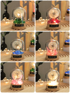 Venta al por Mayor de Dondas de Cristal con Luz LED, Regalo de Flor Eterna para <span class=keywords><strong>el</strong></span> Día de San Valentín, Día de la Madre, Cumpleaños - Product Image 3