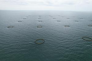 Jaula para Peces de HDPE de Nivel Básico con Estructura Estable y Perímetro de 30 m, Evita la Escape de Peces - Product Image 5