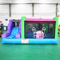 Château Gonflable Professionnel Aire de Jeux pour Enfants Mini Toboggans Aquatiques Gonflable de Jardin à Vendre