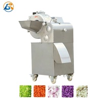 Professionele Groente Fruit Ui Chopper Radijs Kokos Aloë Vera Kubus Mango Komkommer En Chinese Kool Snijmachine