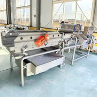 304 RVS Wervelstroom Groente- en Fruitwasmachine