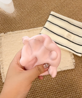 Jouet Squishy Flypig à Remontée Lente, Réaliste en Forme de Boulette Vapeur, Anti-Stress, Jouet Sensoriel Fidget, Vente en Gros, Boîte de Présentation