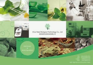 <span class=keywords><strong>Salvadora</strong></span> <span class=keywords><strong>Persica</strong></span> Ekstrak Bubuk 10:1 dari Nate - Product Image 6