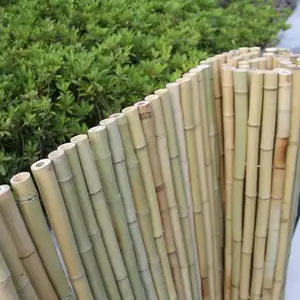 Canoa de bambu moso profissional para decoração e construção